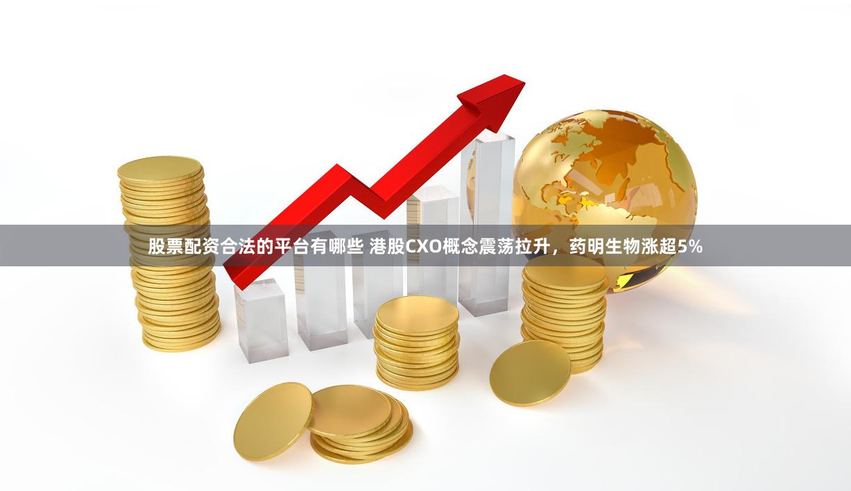 股票配资合法的平台有哪些 港股CXO概念震荡拉升，药明生物涨超5%