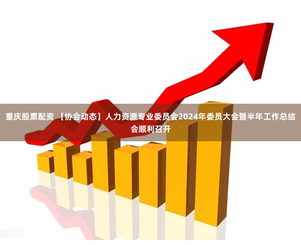 重庆股票配资 【协会动态】人力资源专业委员会2024年委员大会暨半年工作总结会顺利召开