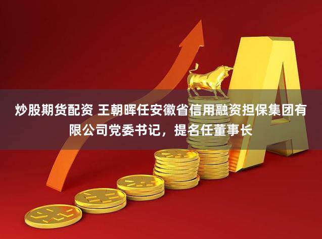 炒股期货配资 王朝晖任安徽省信用融资担保集团有限公司党委书记，提名任董事长
