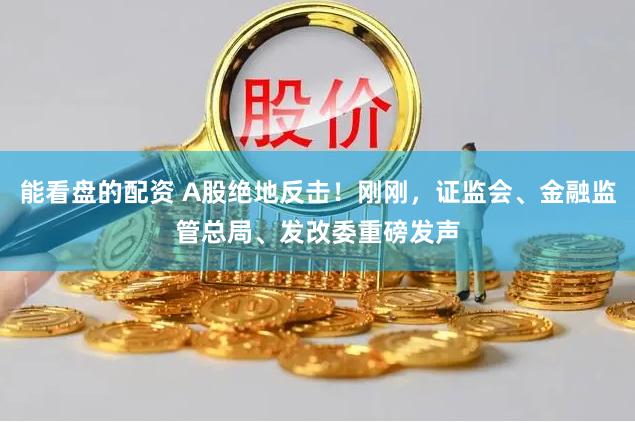 能看盘的配资 A股绝地反击！刚刚，证监会、金融监管总局、发改委重磅发声