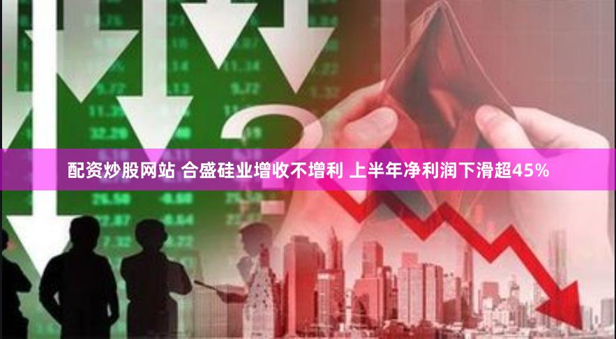 配资炒股网站 合盛硅业增收不增利 上半年净利润下滑超45%