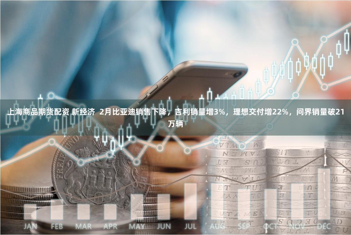 上海商品期货配资 新经济  2月比亚迪销售下降，吉利销量增3%，理想交付增22%，问界销量破21万辆