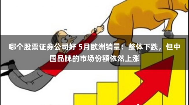 哪个股票证券公司好 5月欧洲销量：整体下跌，但中国品牌的市场份额依然上涨