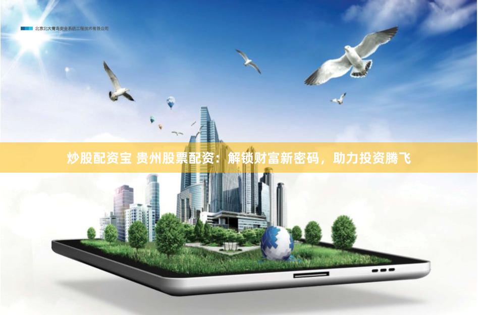 炒股配资宝 贵州股票配资：解锁财富新密码，助力投资腾飞